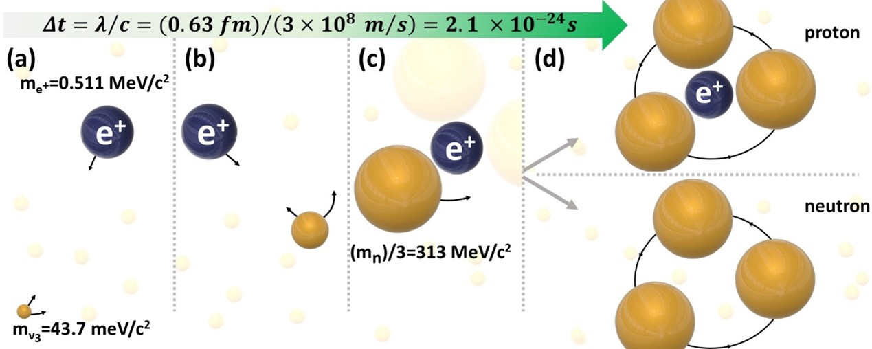 Figure 6. Gravitational catalysis of hadronization by positrons (or electrons). (a) A tiny neutrino at rest is attracted and accelerated by an ambient positron to relativistic (>>1) velocities. Its gravitational mass, 3mo, thus increases dramatically (reaching the Planck mass), as it also starts rotating around the positron (b). Eventually, it joins two similar relativistic neutrinos forming a proton or a neutron; is the heaviest neutrino mass, and mn is the neutron mass. 