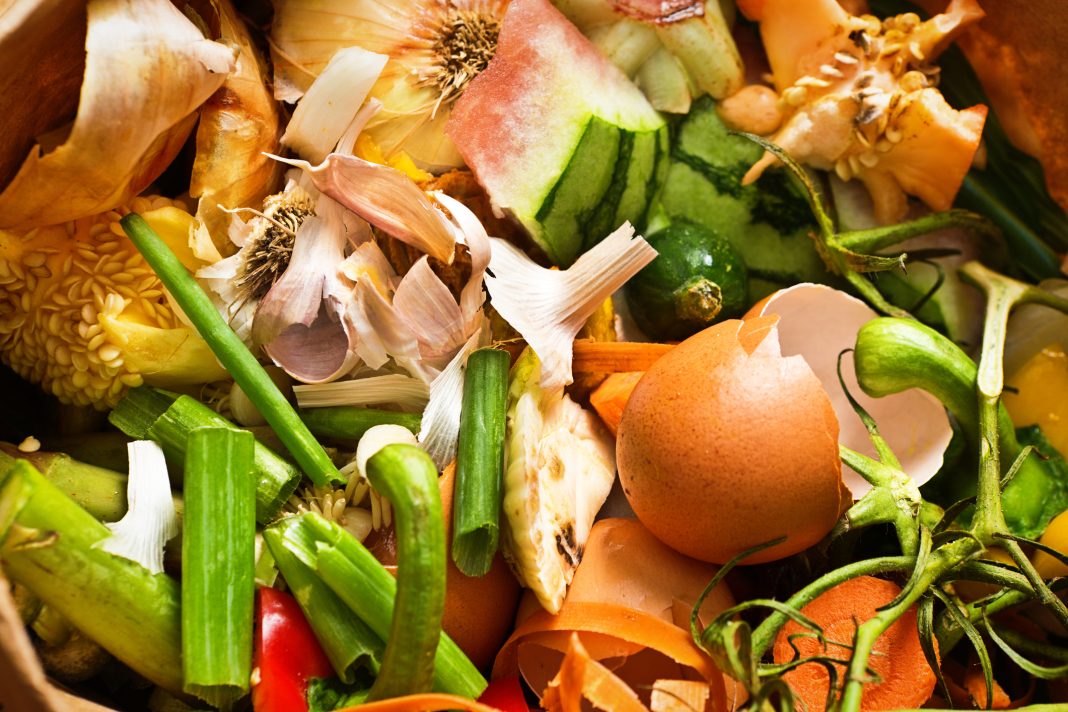 A collection of food waste compost close-up