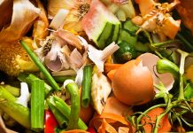 A collection of food waste compost close-up