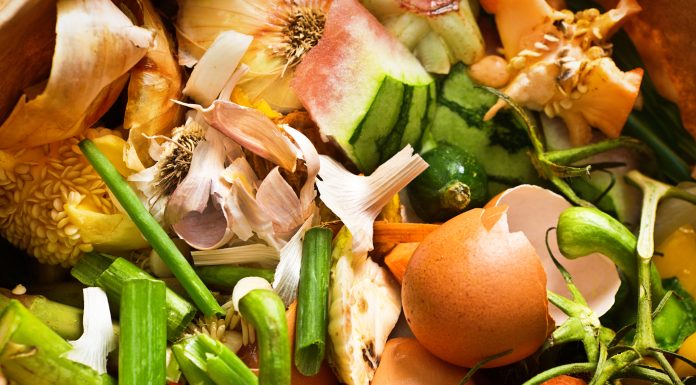 A collection of food waste compost close-up