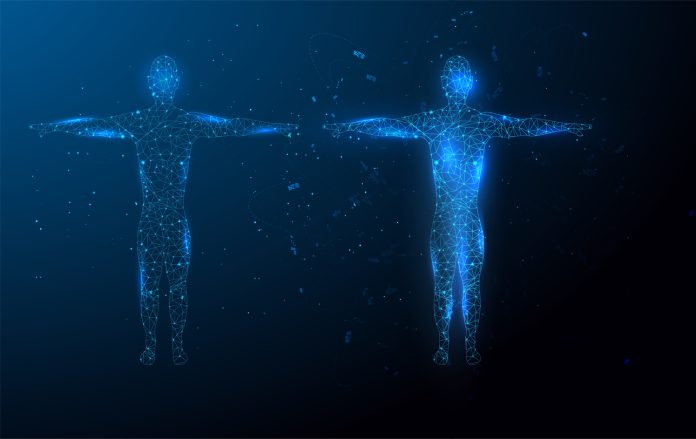 Low poly wireframe Human Body. Abstract Illustration form lines, triangles and