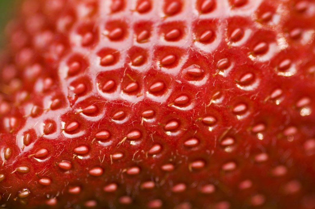 Detailed surface shot of a fresh ripe red strawberry.