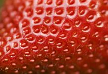 Detailed surface shot of a fresh ripe red strawberry.