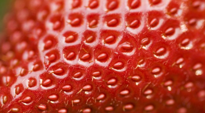 Detailed surface shot of a fresh ripe red strawberry.