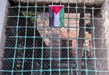 Palestinian Flag in cemetary