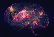 Scientists race to unlock the mystery of consciousness as AI surges ahead Human brain