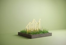 Sustainable growth graph