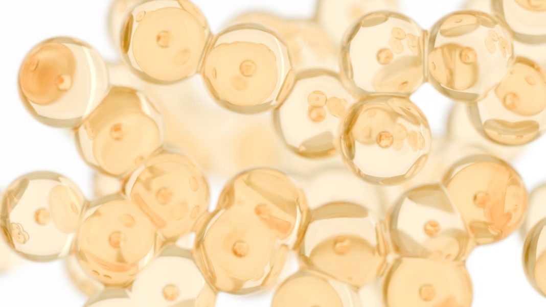 Adipose cells, a cluster of fat cells - 3d rendered image on white background. Medical, microbiology concept illustration.