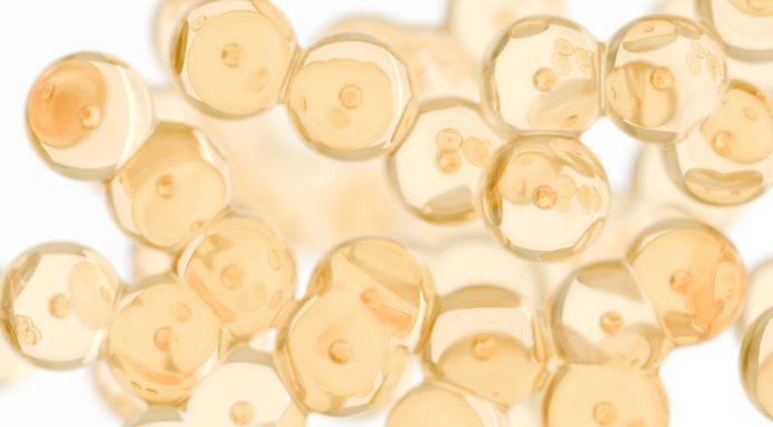 Adipose cells, a cluster of fat cells - 3d rendered image on white background. Medical, microbiology concept illustration.