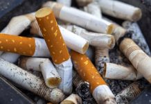 close up of a pile of cigarette butts in an ashtray