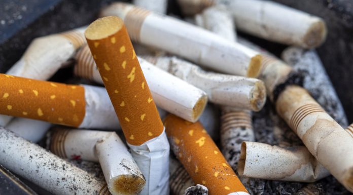 close up of a pile of cigarette butts in an ashtray