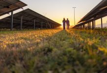 Employees Walking at Solar Power Farm
