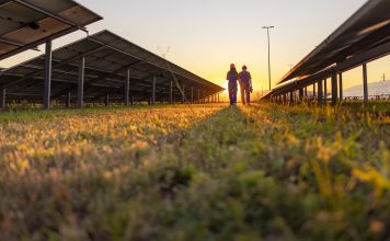 Employees Walking at Solar Power Farm