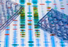 Single chromosome sequencing in human cancers This image showcases genetic analysis with multi-well plates and a DNA sequencing background, representing lab research.