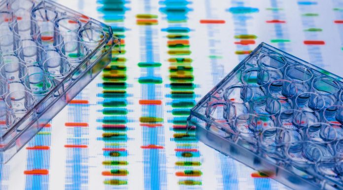 This image showcases genetic analysis with multi-well plates and a DNA sequencing background, representing lab research.