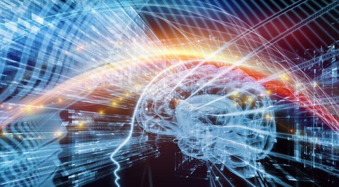 Human Mind series. Creative arrangement of brain, human outlines and fractal elements as a concept metaphor on subject of technology, science, education and human mind