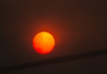 Sun in a forest fire with smoke