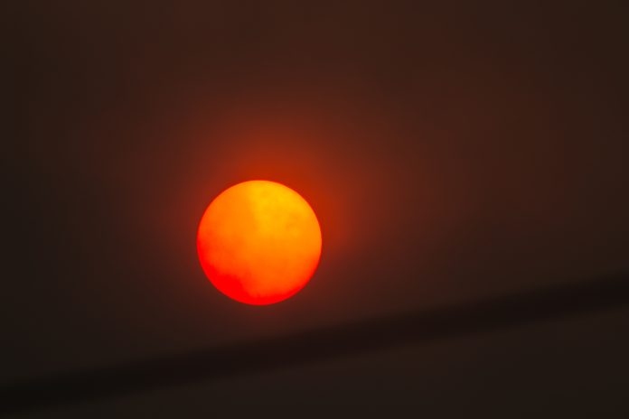 Sun in a forest fire with smoke