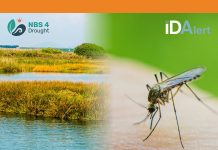 From drought resilience to disease risk From Drought Resilience to Disease Risk