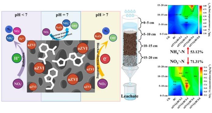 Effective removal of nitrate nitrogen from water and soil using biochar-loaded nano zero-valent iron: performance and mechanisms Credit Lan Luo, Jie Li, Anina James, Caixia Hu, Guilong Zhang & Junting Pan