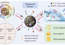 Engineered biochar offers affordable solution to water pollution Engineered biochar for simultaneous removal of heavy metals and organic pollutants from wastewater: mechanisms, efficiency, and applications Credit Nana Wang, Bing Wang, Hailong Wang, Pan Wu, Masud Hassan, Shengsen Wang & Xueyang Zhang