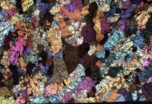 A piece of the lowermost continental mantle (the crystalline roots of the continents). This represents the material that the research proposes is removed and swept sideways into the oceanic mantle Credit Prof Tom Gernon, University of Southampton