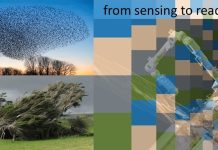 Materials and structures that interpret signals and react image: ©Politecnico di Milano – Italy