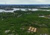 The location of the experimental restoration peatland (with the six treatment plots covered in straw mulch) is set against the Sudbury landscape, with the now decommissioned 381m tall ‘Superstack’ in the background. The site is located within the Laurentian University Greenspace and emphasizes the importance of this research and education opportunity for both local and global audiences.