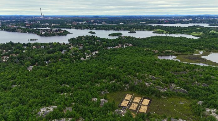 The location of the experimental restoration peatland (with the six treatment plots covered in straw mulch) is set against the Sudbury landscape, with the now decommissioned 381m tall ‘Superstack’ in the background. The site is located within the Laurentian University Greenspace and emphasizes the importance of this research and education opportunity for both local and global audiences.