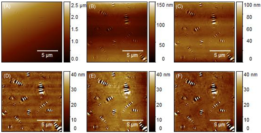 Figure 1. Image processing options for an AFM image of bitumen, where the features of interest are the wavy structures. (A) is the initial acquired image and (F) is the final image. The other panels are explained in the text. Five-micron scale bars are shown on each panel. Note how each panel has a color scale that evolves from 2.5 microns (μm) to 40 nanometers (nm) as the processing makes the image increasingly horizontal. (Burnham, Lyu, Poulikakos, J. Microscopy (2023))