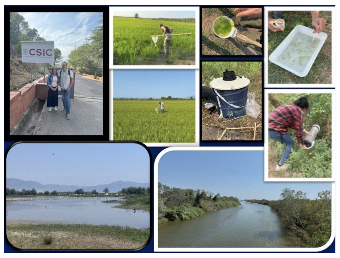 Figure 1: Aiguesmolls de Lèmpordà (©J.Sirisena)