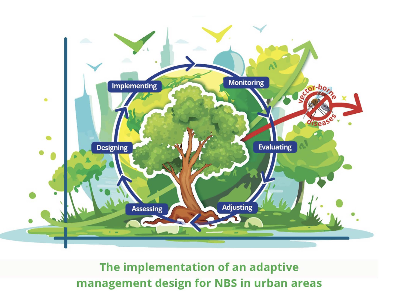 Figure 3:© Máñez, 2025