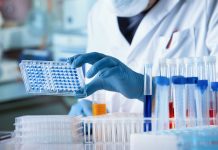 Doctor working with microplate for elisa analysis