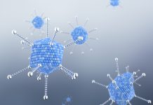 Virus Cells of the Adenovirus Family in Icosahedral Shape