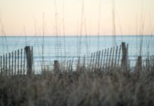 Tracking an ocean acidification: Coastal areas are acidifying faster than previously thought A clear view of the Atlantic Ocean through the blurred dunes at Wrightsville Beach, NC.