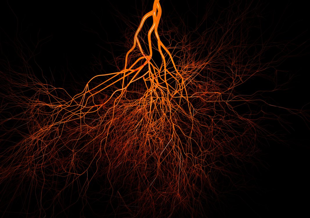 Blood vessels on black background