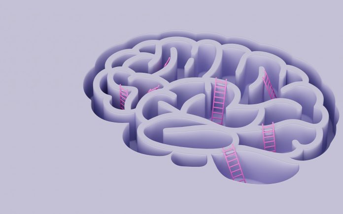 Mental Health Emotional Well Being Psychological Cognitive Personality