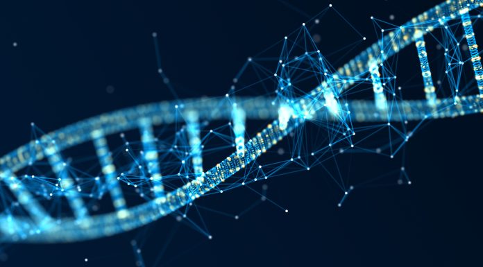 DNA, Background, Biolgy