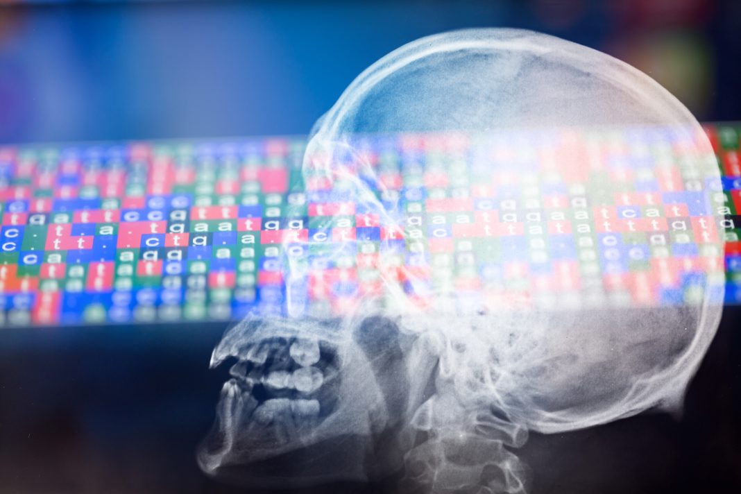 X ray of Skull with illuminated DNA color coded sequence
