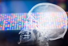 X ray of Skull with illuminated DNA color coded sequence