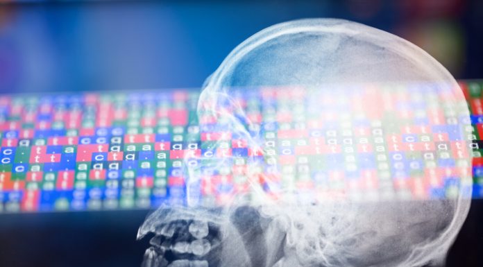 X ray of Skull with illuminated DNA color coded sequence