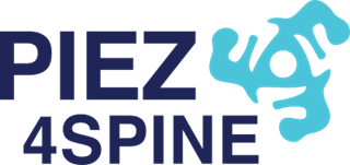 Figure 1. Piezo4Spine logo emphasizing the relevance of Piezo mechanoreceptors to the therapeutics envisioned.