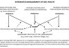 Fig. 1: Diagram showing SPIN-FERT approach for an integrated strategy of soil management based on the exploitation of prebiotics (organic fertilisers and non-microbial biostimulants), probiotics (microbial biostimulants) and postbiotics (biostimulants derived from microorganisms) along with agronomical practices. Full lines show the direct effect, dashed lines show the interactions.