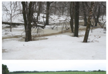 Image: ©University of Manitoba