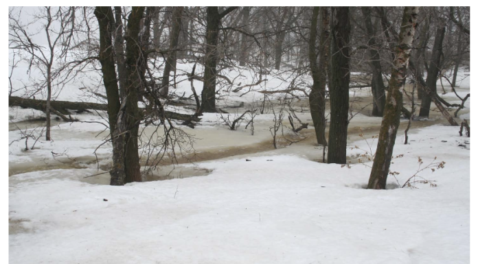 Image: ©University of Manitoba