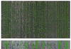 Improved herbicide stewardship with remote sensing and machine learning decision-making tools Fig. 1. Segmentation of high-resolution RGB images in soybean with the original image (top) and the segmented mask overlaid on the original image (bottom). Soybean plants (green) were seeded at five different densities, and the natural weed community has been segmented into grasses (pink), broadleaf weeds (dark orange) and volunteer canola (orange). Volunteer canola is glyphosate-resistant and would require alternate management compared with all other weeds in the image.