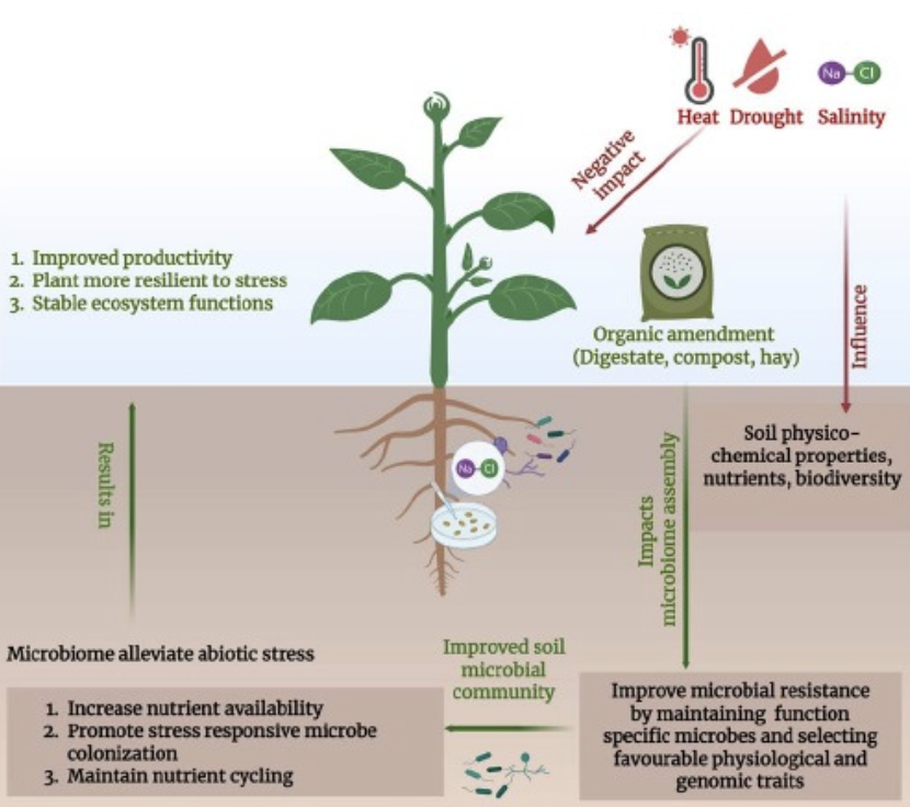 Figure 3. Schematic of examples of processes investigated in Part 1. (Figure © Pankaj Singh)