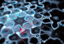 Intellicule secures NIH grant for biomolecular modelling software Abstract color dynamic background with lighting effect. Futuristic bright painting texture for creativity graphic design. Pattern for wallpaper, poster, cover booklet, flyer, banner. Fractal art