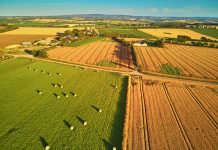Aerial view of pastures and farmlands in Brittany, France. Beautiful French countryside with green fields and meadows. Rural landscape on sunset