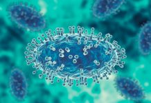 UK confirms first case of dangerous clade‑1b mpox strain Monkeypox virus is a smallpox-like viral infection transmitted from animals to humans